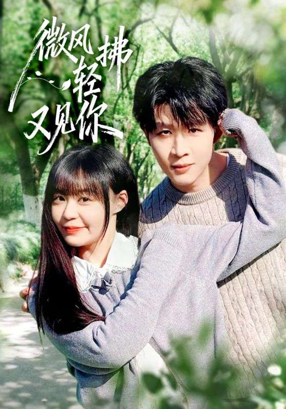 微风轻拂又见你(全集)