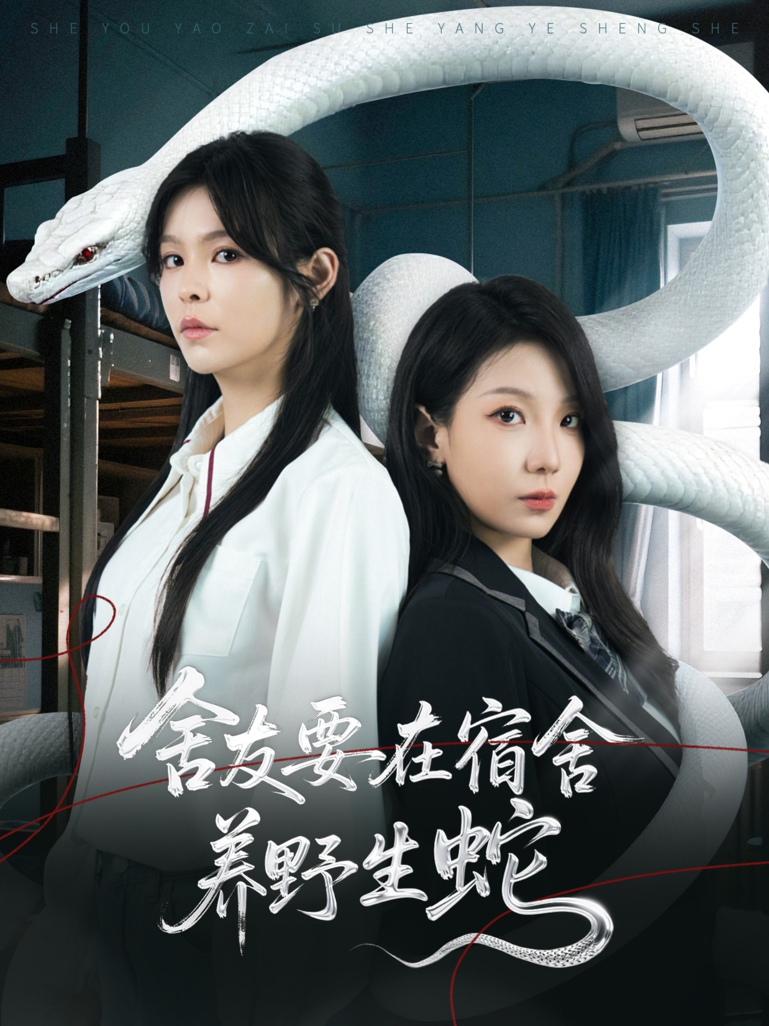 舍友要在宿舍养野生蛇(全集)