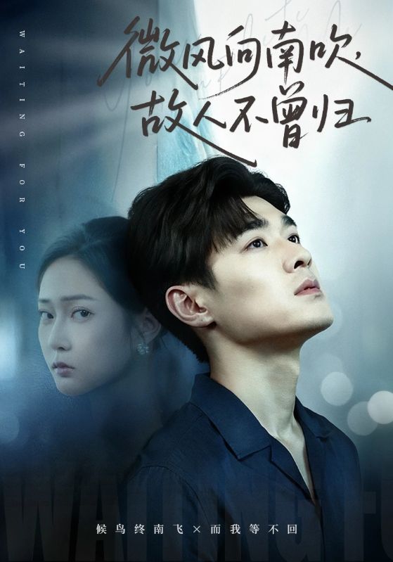 微风向南吹，故人不曾归(全集)
