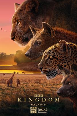 动物王国(全集)