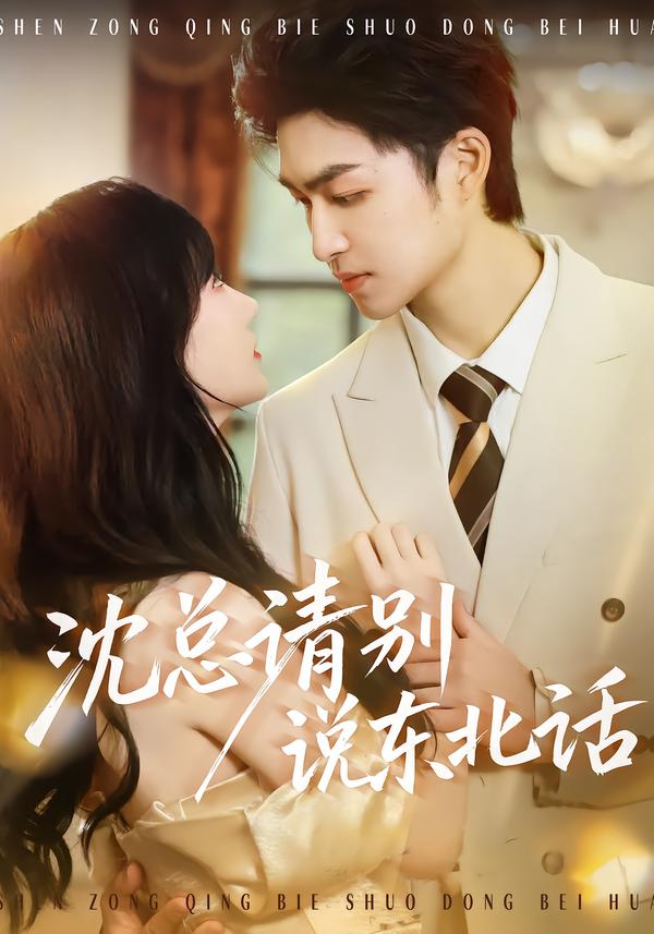 沈总请别说东北话(全集)